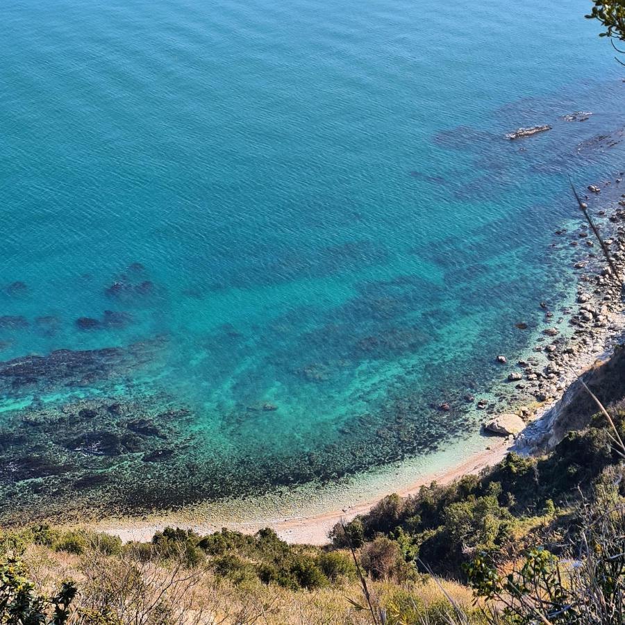 La Pinetina Apartment Ancona Luaran gambar
